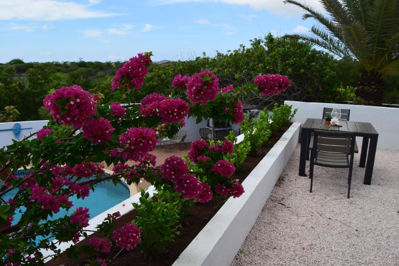 Saint Joris A Tiny Boutique Resort Willemstad Eksteriør billede