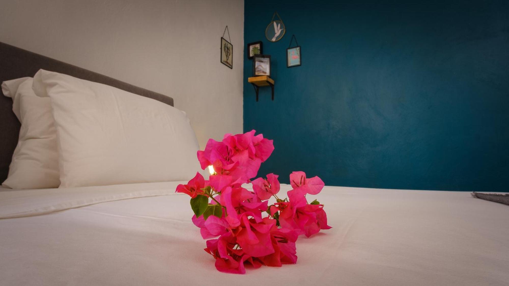 Saint Joris A Tiny Boutique Resort Willemstad Eksteriør billede